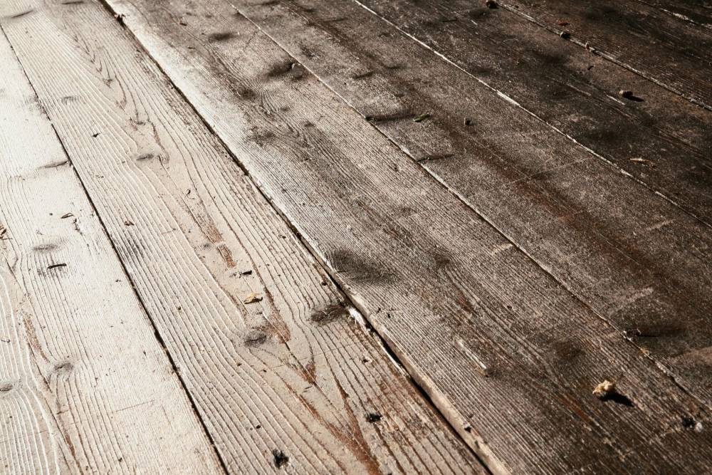 restauration parquet près de Notre-Dame-de-Monts